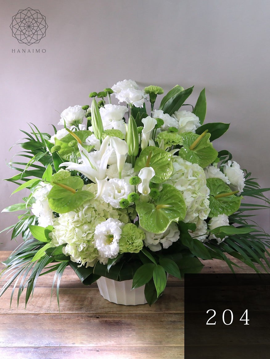 グリーン白「みどり」 | 花アルバム｜お花の通販 花以想（はないも）