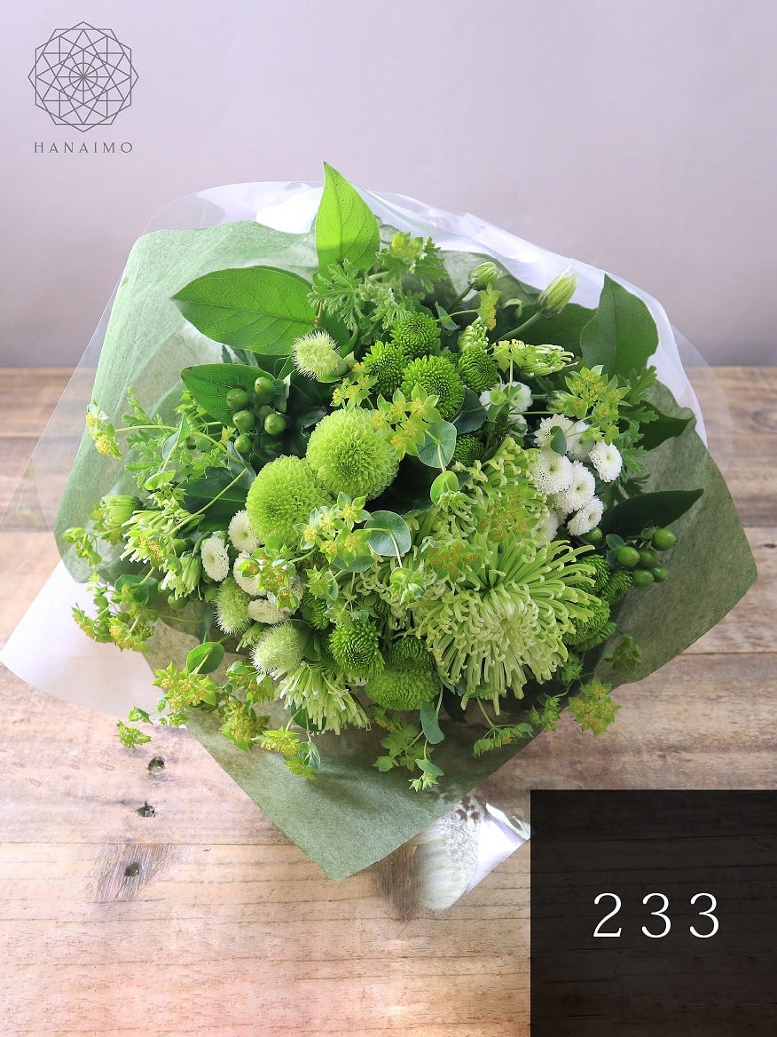 グリーン白「みどり」 | 花アルバム｜お花の通販 花以想（はないも）