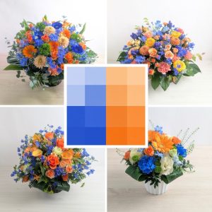 青オレンジ「フォーカス」