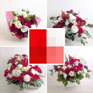紅白「ことぶき」
