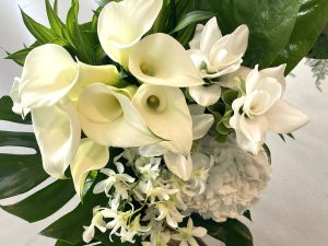 白は平和の色。カラー　花言葉「清浄・乙女のしとやかさ」