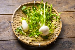 春の七草・人日の節句