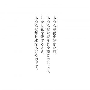 アジサイ 花言葉「和気藹々」