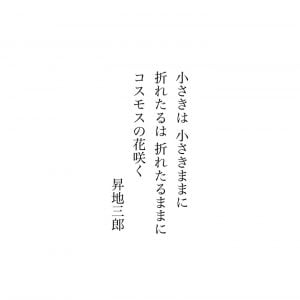 昇地三郎◎コスモス 花言葉「調和」