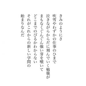ピラカンサ 花言葉「燃ゆる思い」