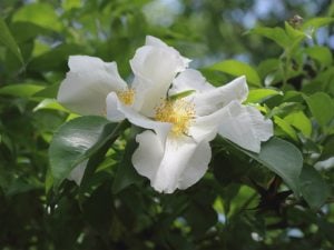 心に向き合う