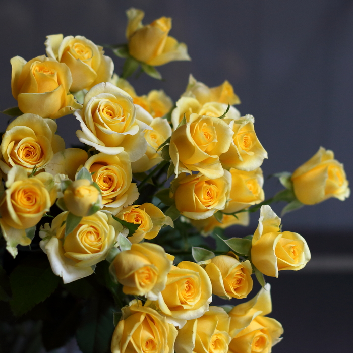 バラ 黄色 花言葉 あなたに恋します 花以想の記
