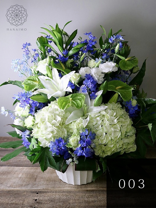 フラワーギフト お花のプレゼント　お祝いの花　ビジネスの花　胡蝶蘭