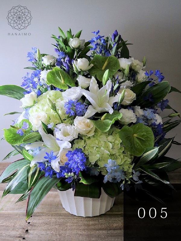 フラワーギフトお花のプレゼント　お祝いの花　ビジネスの花　胡蝶蘭