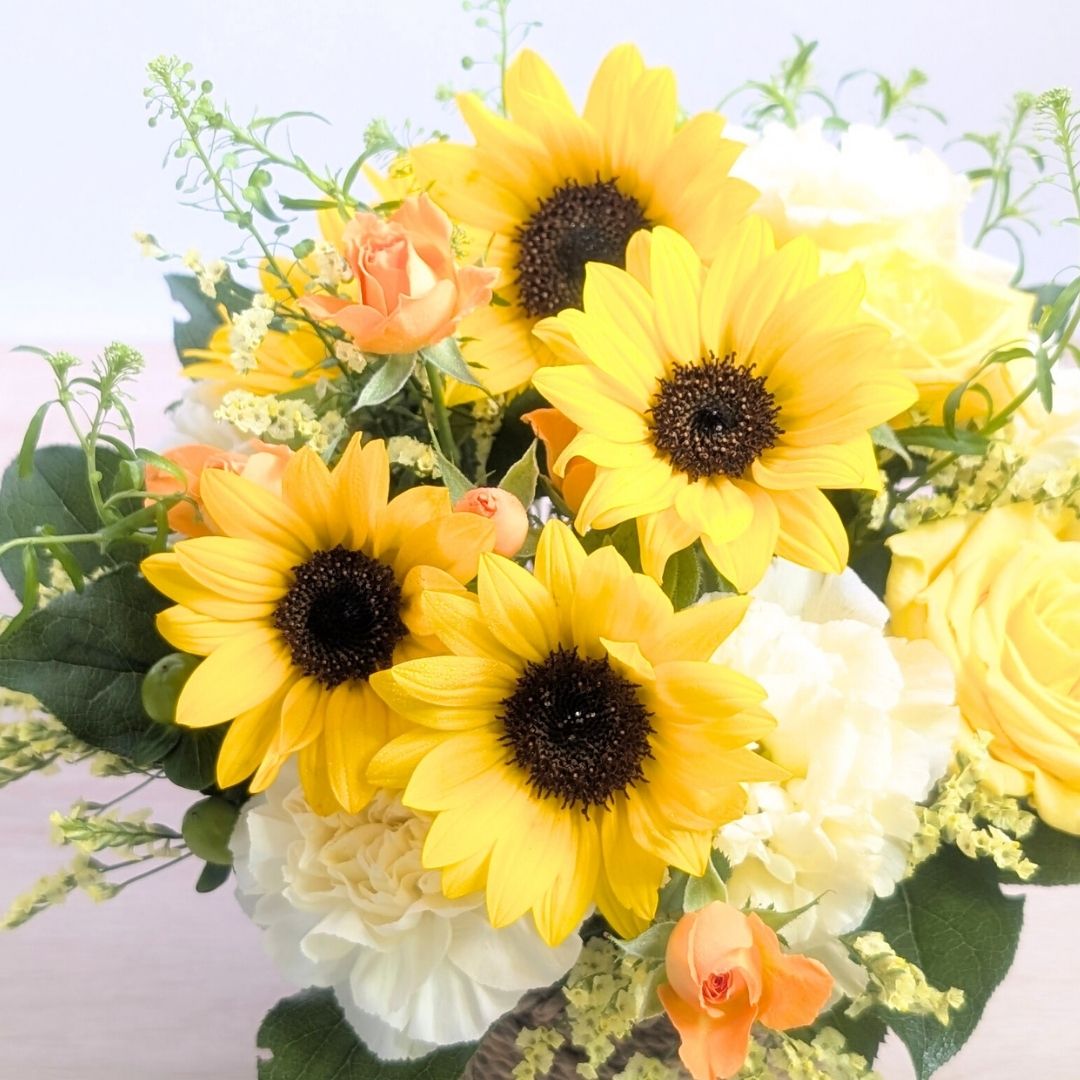 「花屋の向こう側」はじまります！