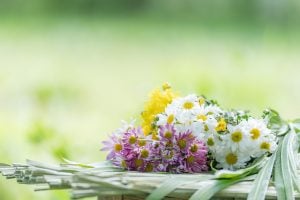 今さら聞いちゃう「一周忌や三回忌ってなあに？」