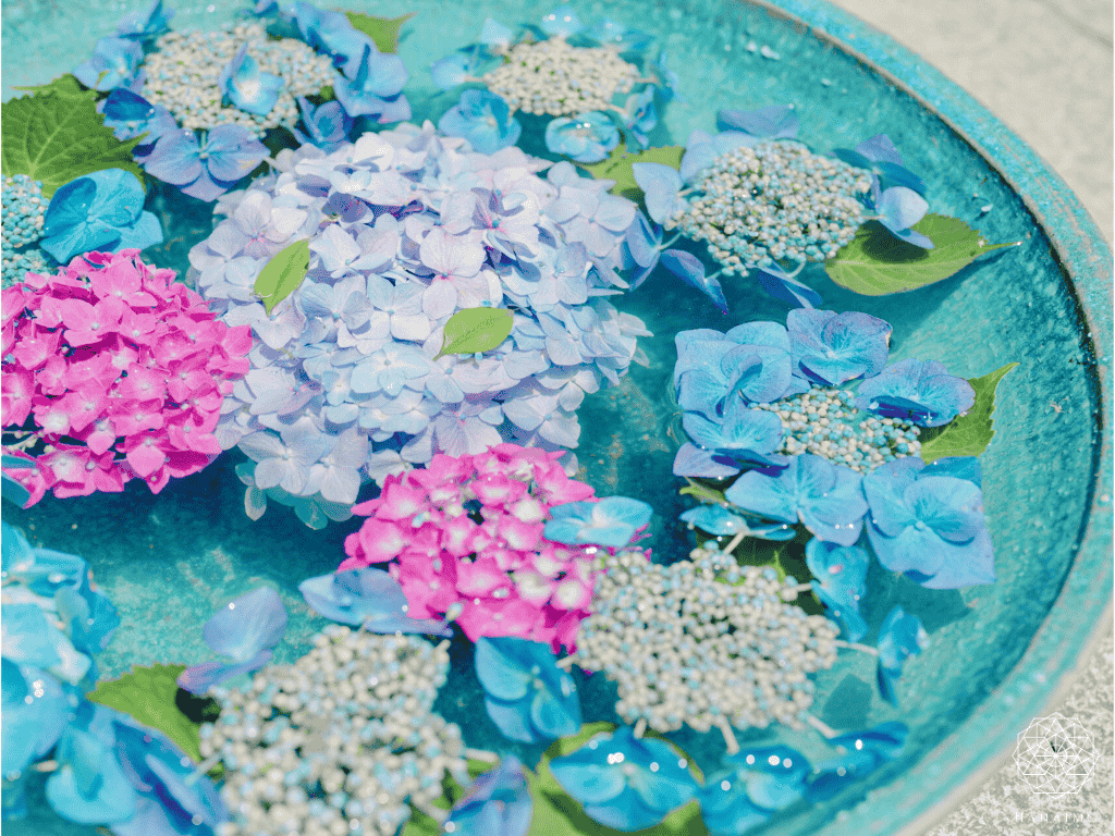 花手水とは?意味・作法・楽しみ方|心を清める日本の美しい習わし