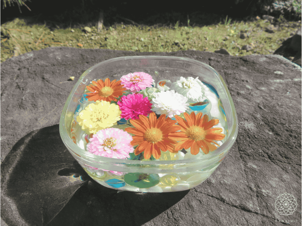 花手水とは?意味・作法・楽しみ方|心を清める日本の美しい習わし
