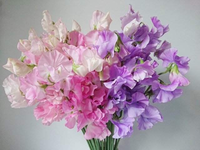 春のお彼岸のころに花屋に並ぶ花