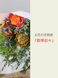 【毎月届く季節のお花】お花の定期便「四季彩々」