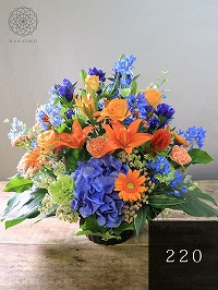 【人気！胡蝶蘭より目立ちます◎花画像サービス付】移転祝いの花「フォーカス」３Lサイズ