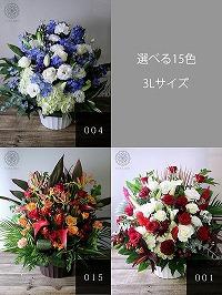 【選べる15色◎花画像サービス付】出産祝いプレゼント・アレンジメント3Lサイズ