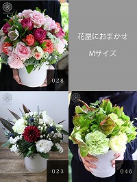 【選べる15色◎花画像サービス付】一般的なお祝い・ビジネス向きのお花Mサイズ