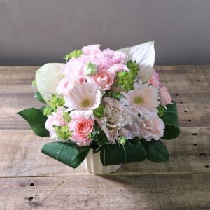 仕上がりの画像も、きちんとしたセッティングで撮影いただき嬉しかったです。