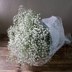 かすみ草の花束を探していて、